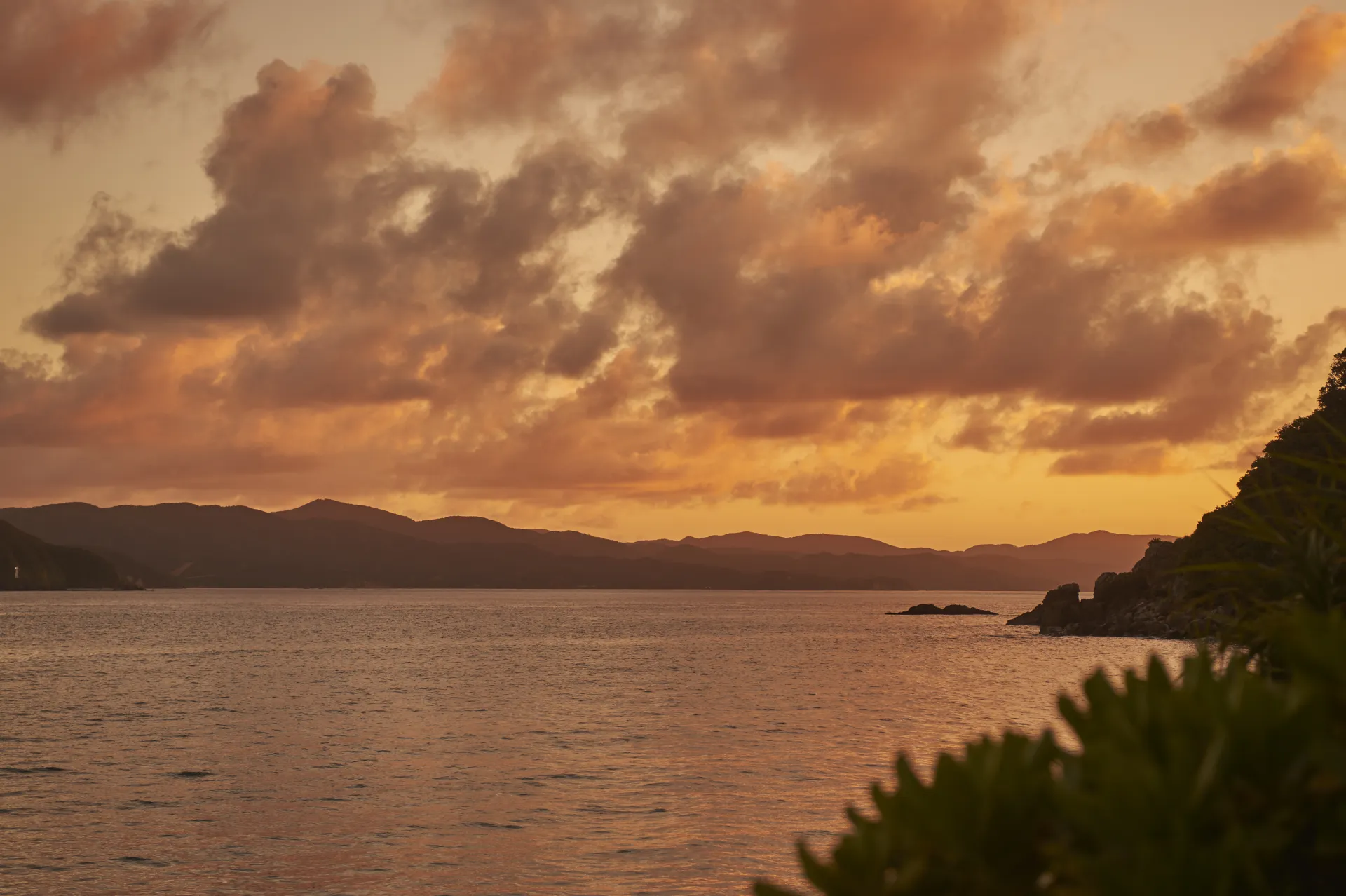 トロピカルパラダイス体験