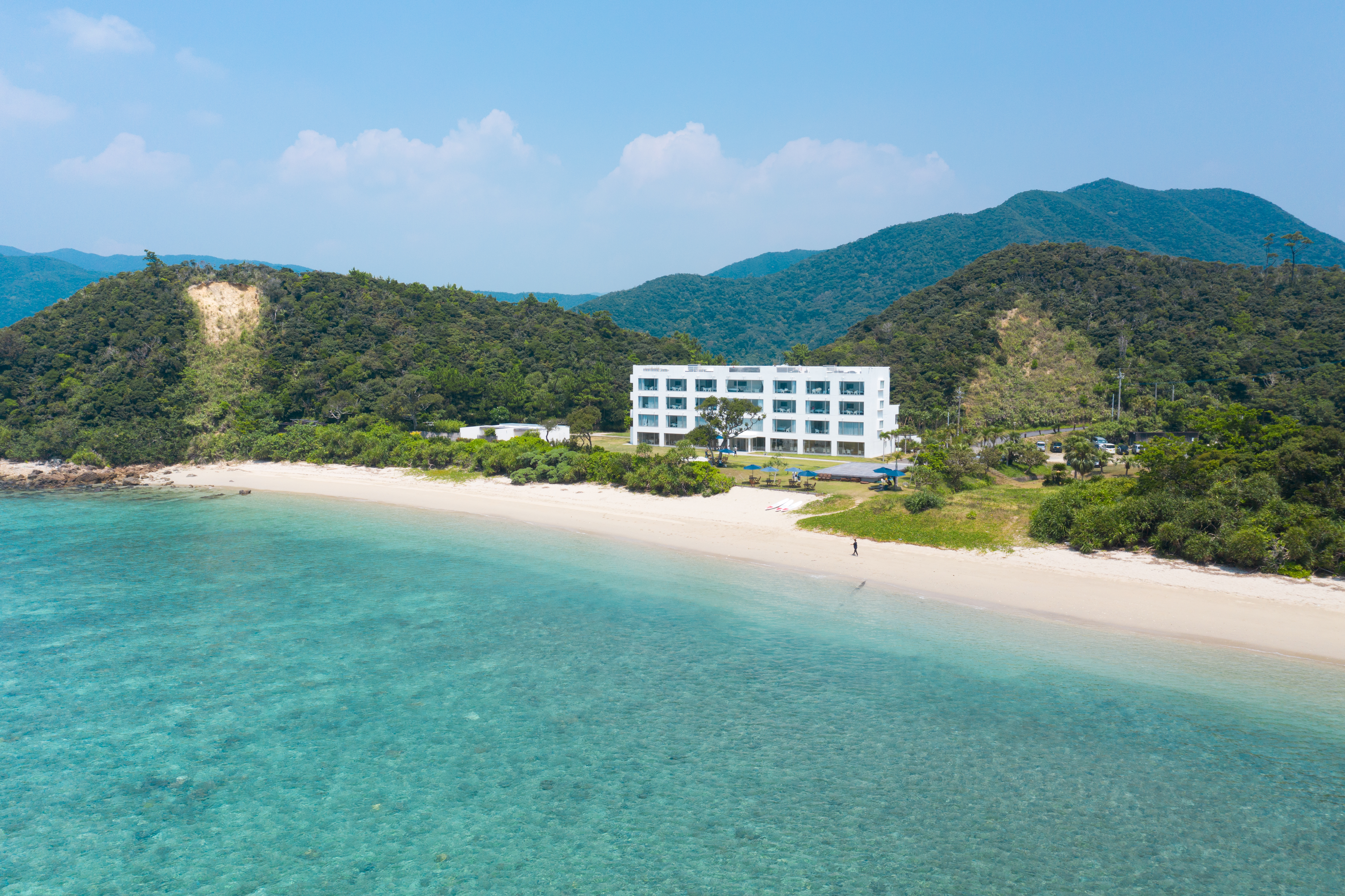 Sushi Making Experience